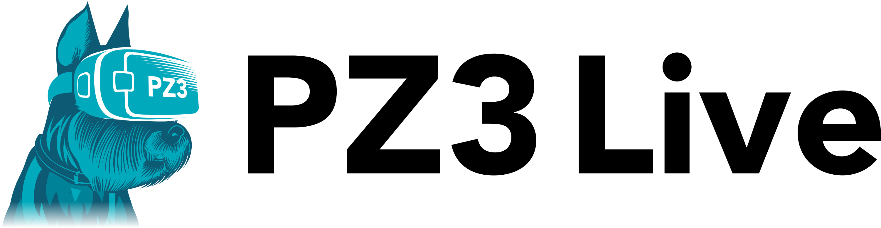 PZ3 Logo